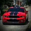 Hokie D's Avatar