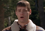Snowflake801's Avatar