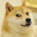 doubleflusher's Avatar
