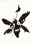 season_of_ages's Avatar