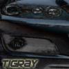 TiGraySpeed6's Avatar