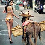 ConBurros's Avatar