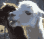 nycMS3's Avatar