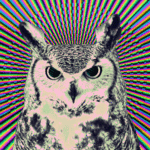 nighthawk358's Avatar
